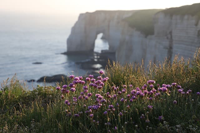 Where to Vacation in France in Summer